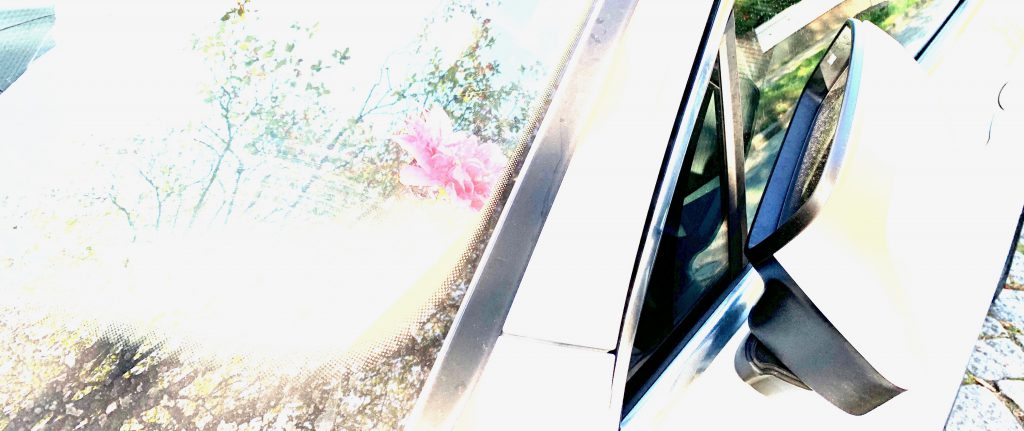 Das Bild zeigt die Frontscheibe und den angeklappten Spiegel eines SUV-Autos. In der Scheibe spiegeln sich Bäume und der Himmel. Das Foto ist absichtlich überbelichtet.